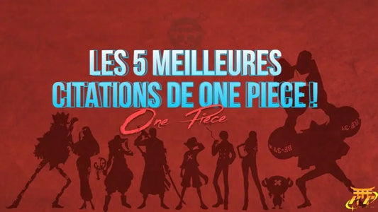 Les 5 meilleures citations de One Piece!