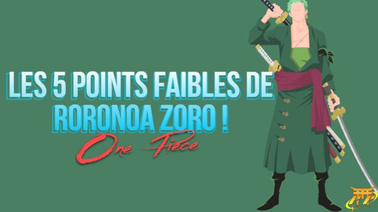 Les 5 points faibles de Roronoa ZORO!