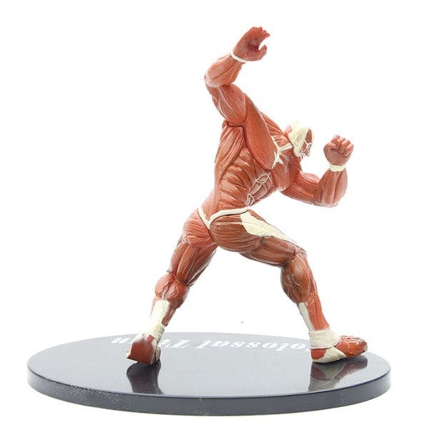 Figurine Titans Colossal - Attaque des Titans